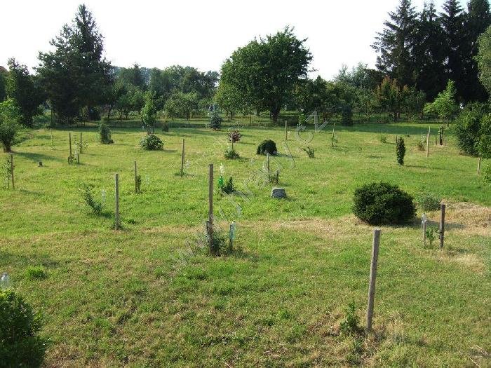 Arboretum Vrahovice