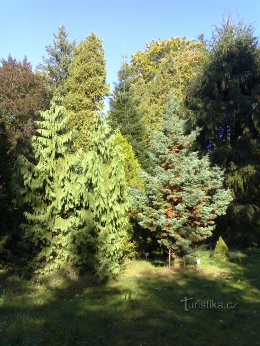 Vysoké Chvojno Arboretum