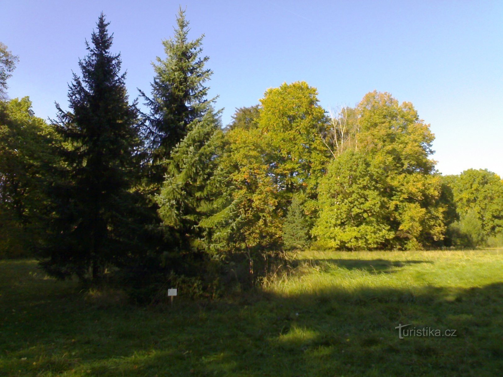 Arboretum Wysokie Chvojno