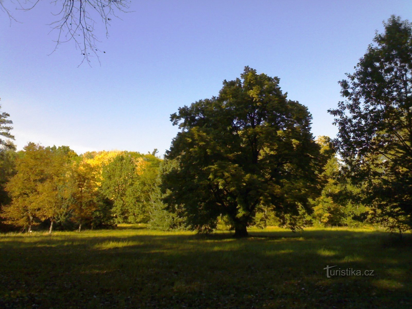 Vysoké Chvojno 植物园