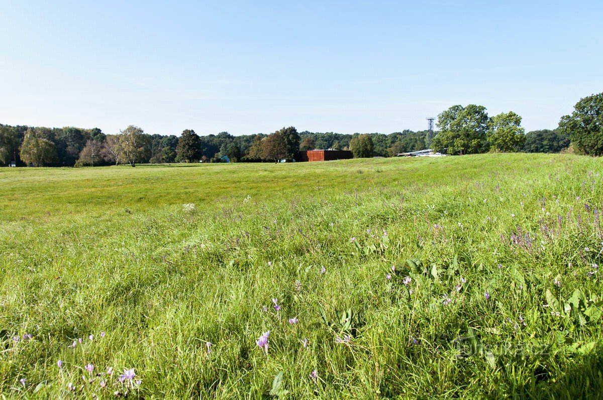 Gebied van de archeologische vindplaats