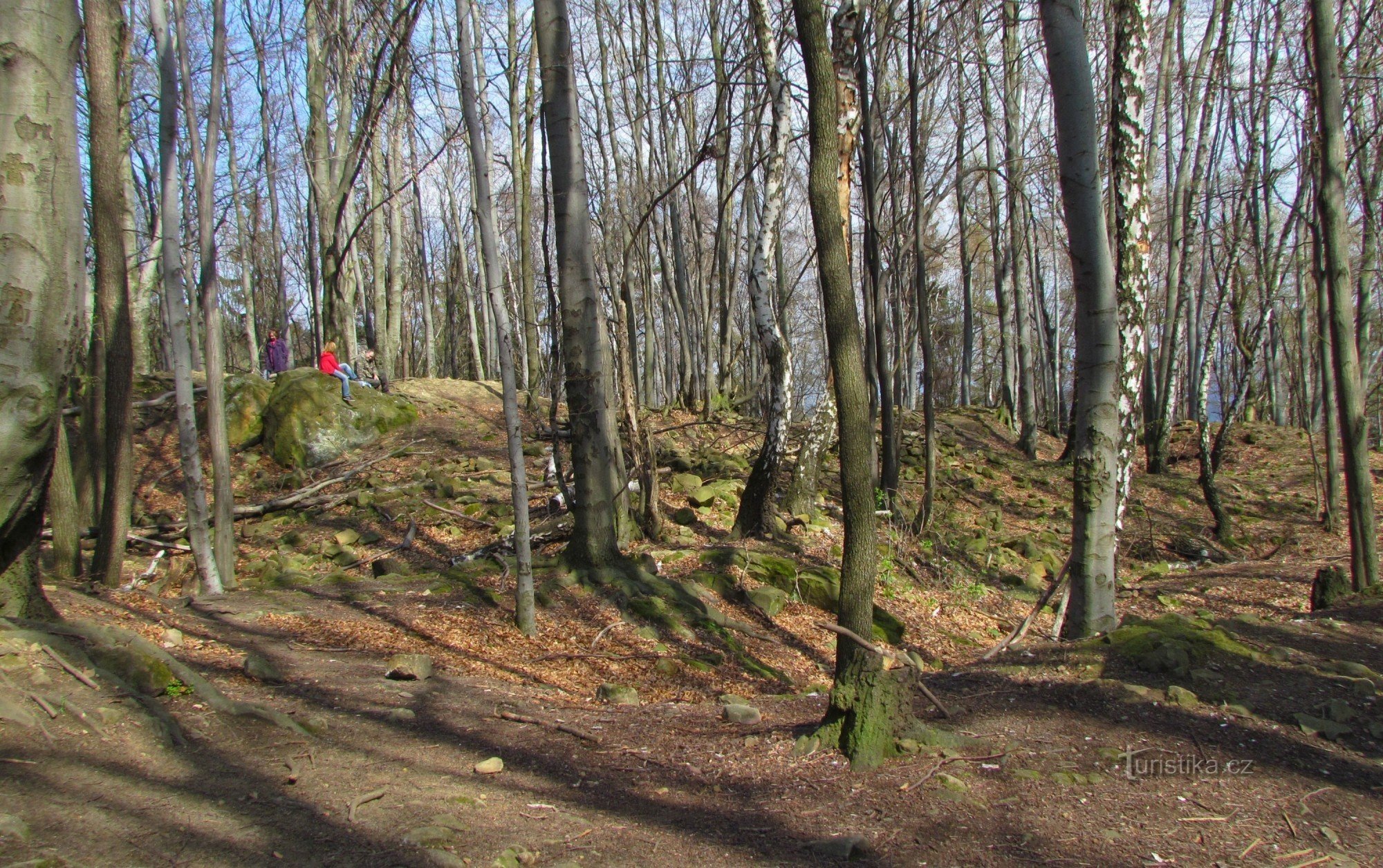 l'area del nucleo del castello in cima alla collina