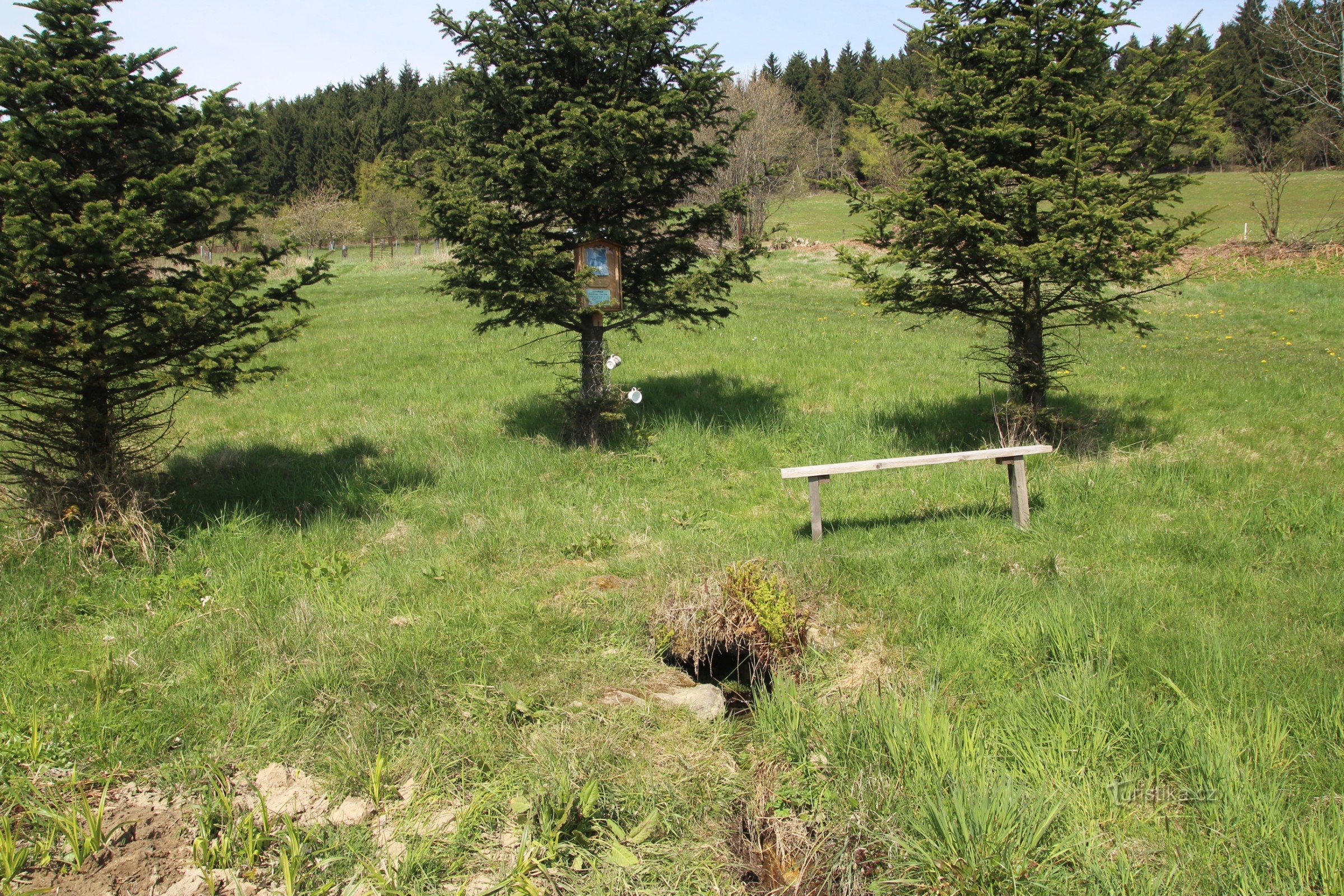 Area around the well