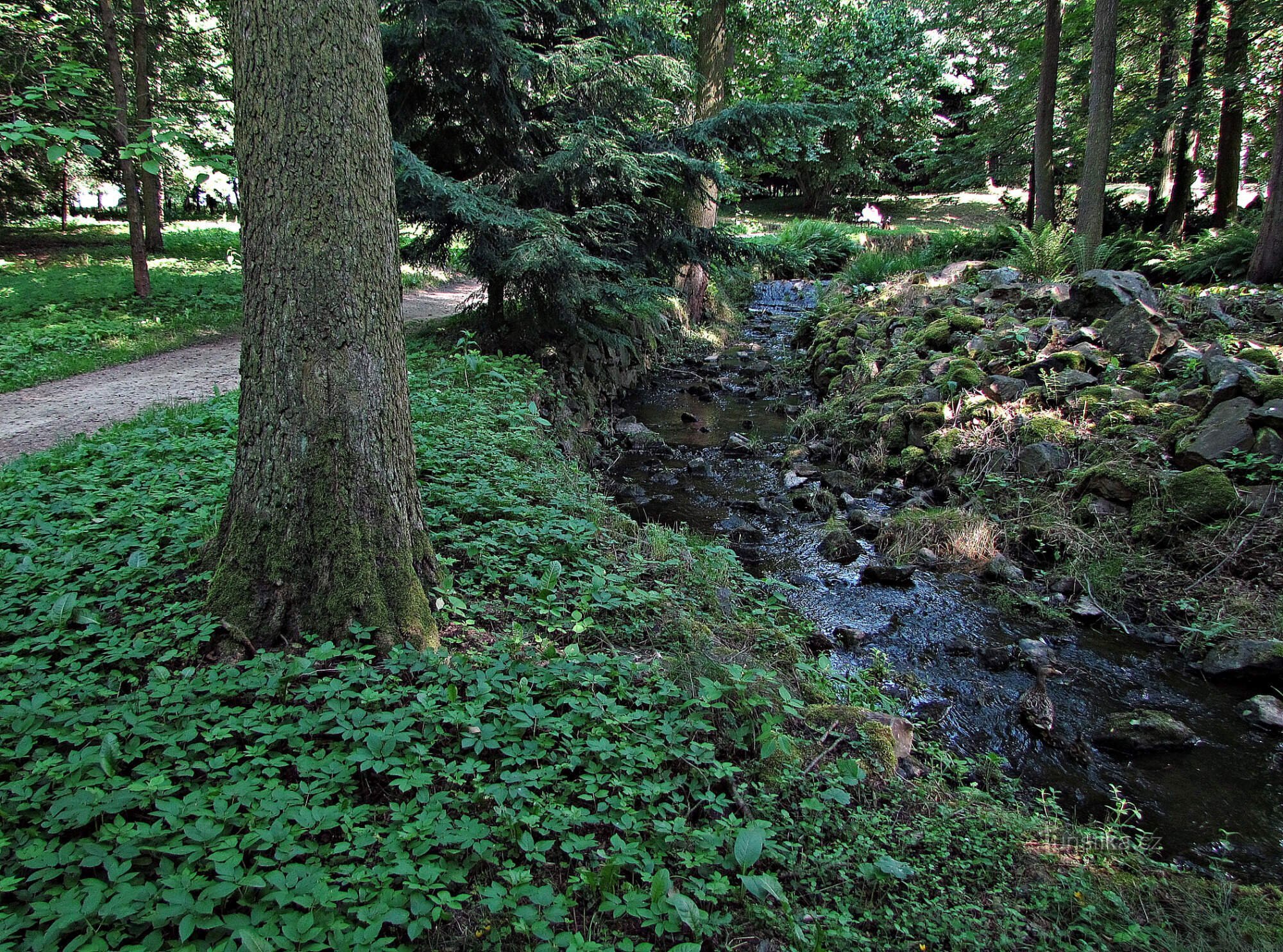 Teren parku zamkowego w Světlá nad Sázavou