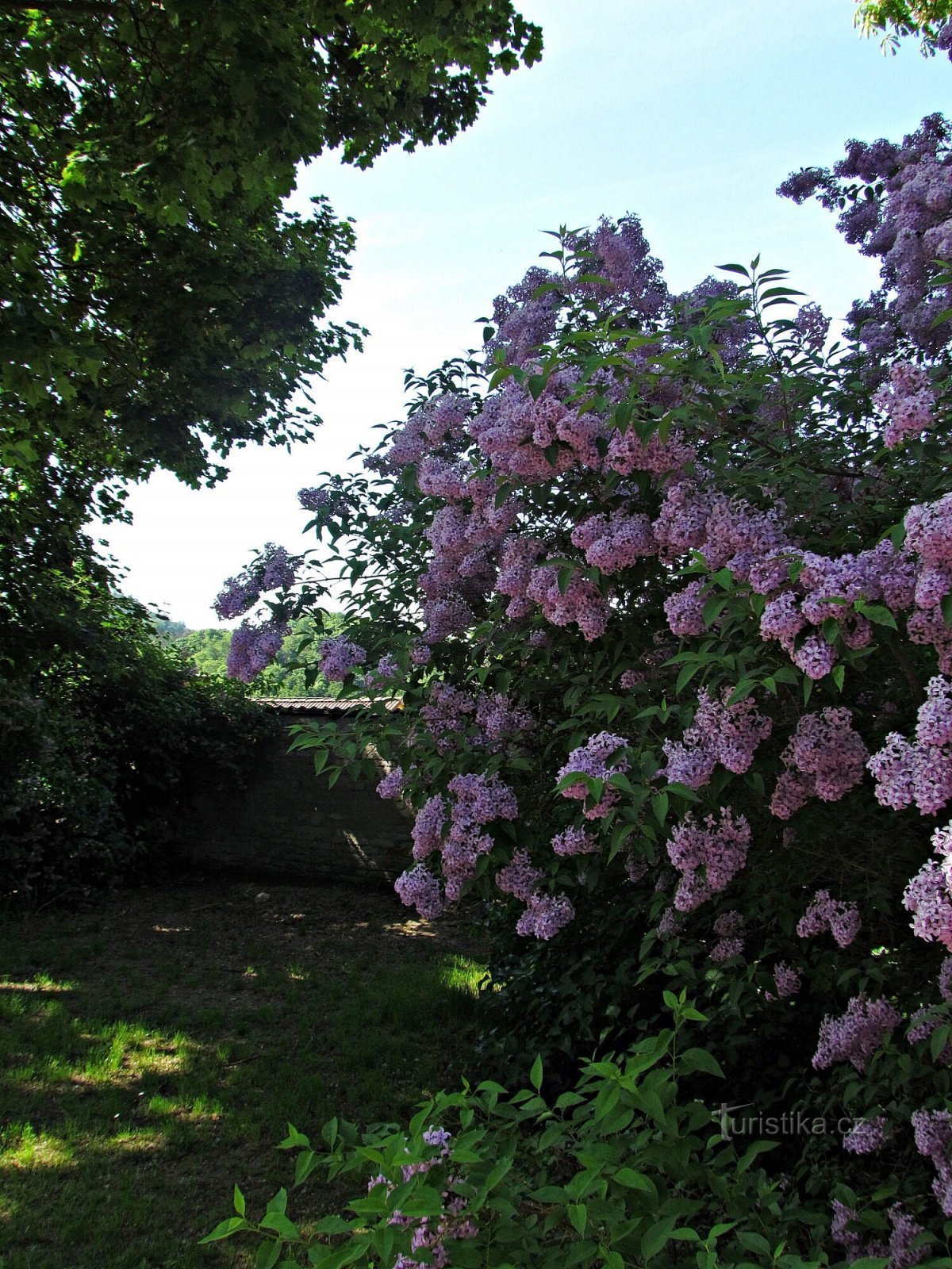 Lomnice slottsområde nära Tišnov