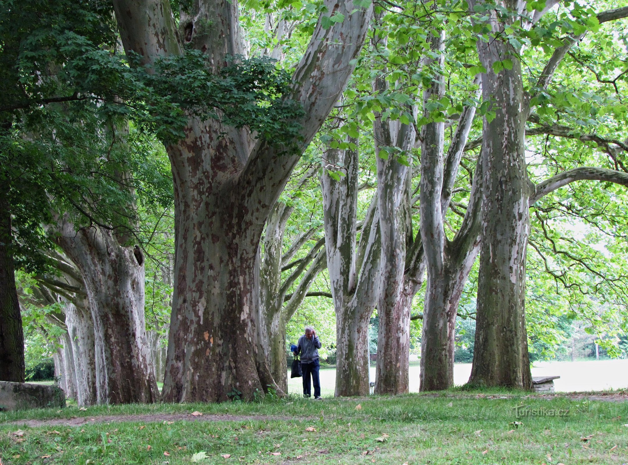 Parco del castello di Strážnice