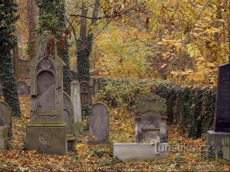 Zone du cimetière juif: Zone du cimetière juif (sur la route Zlonice ? Beřovice)