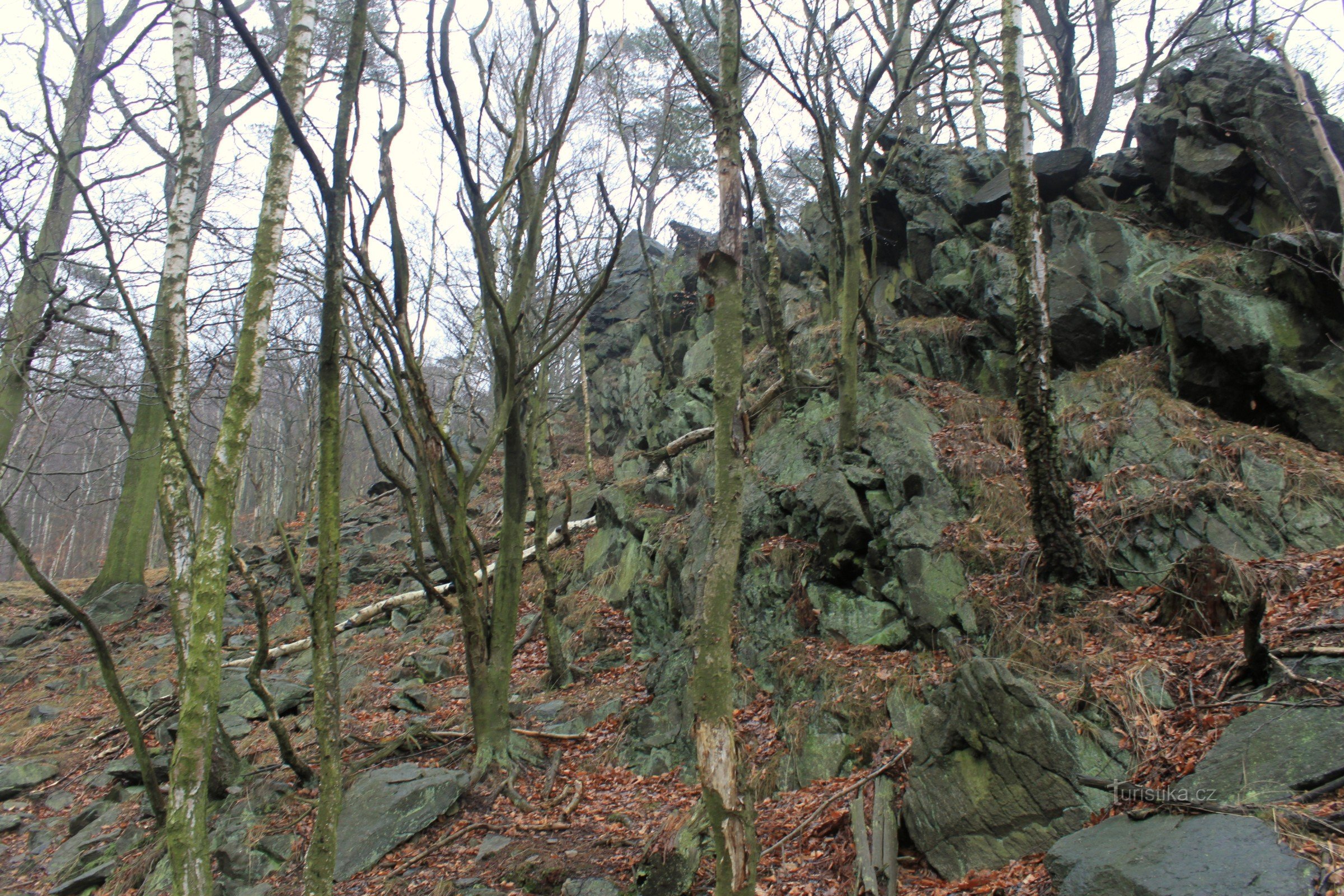 Arlt rockery