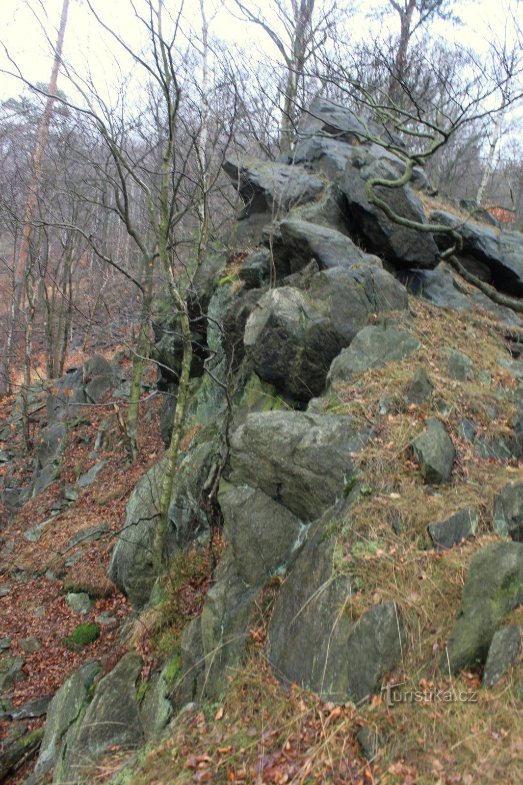 Arlt rockery