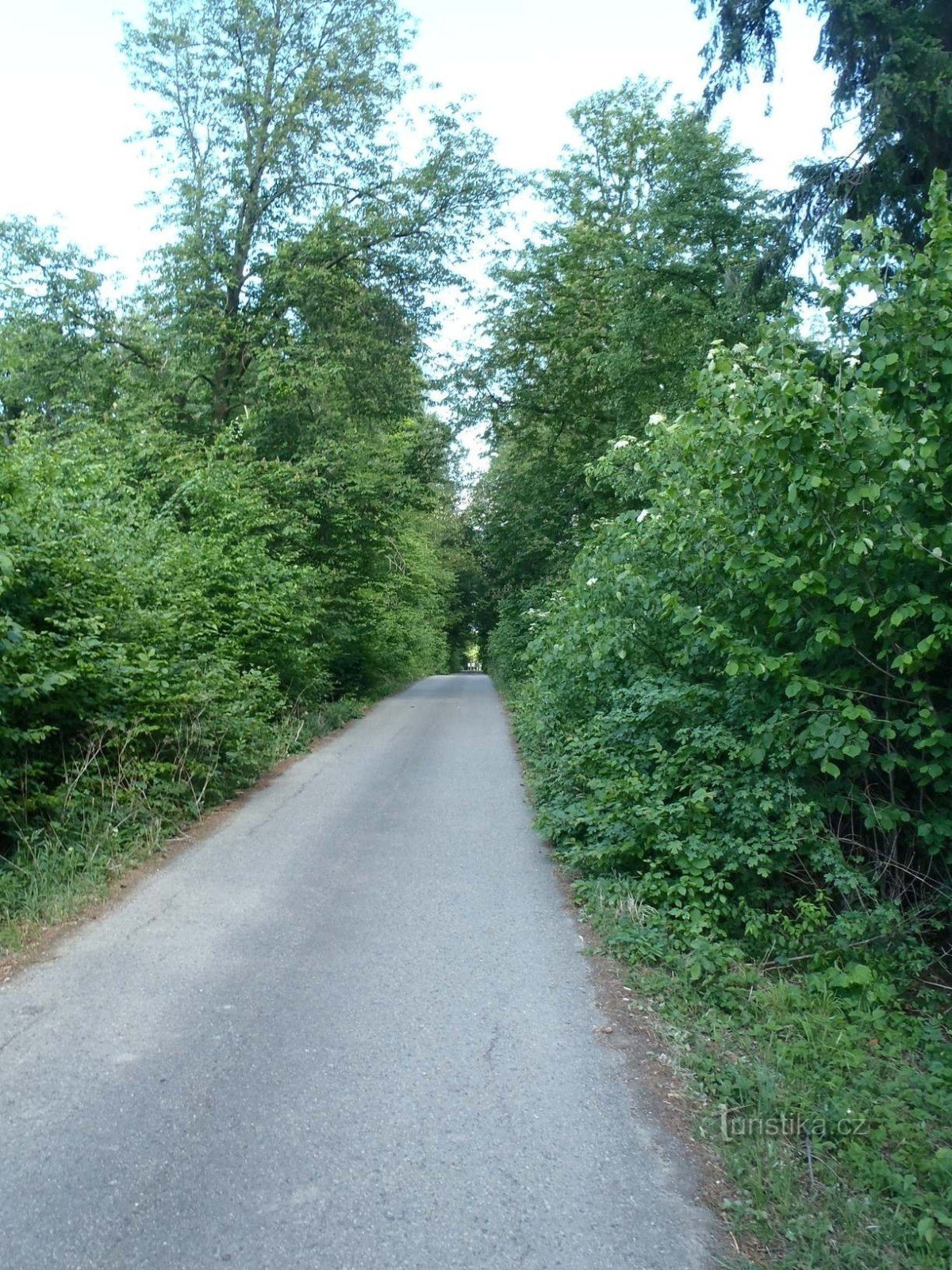 Route goudronnée autour du mémorial du jubilé - 27.5.2012