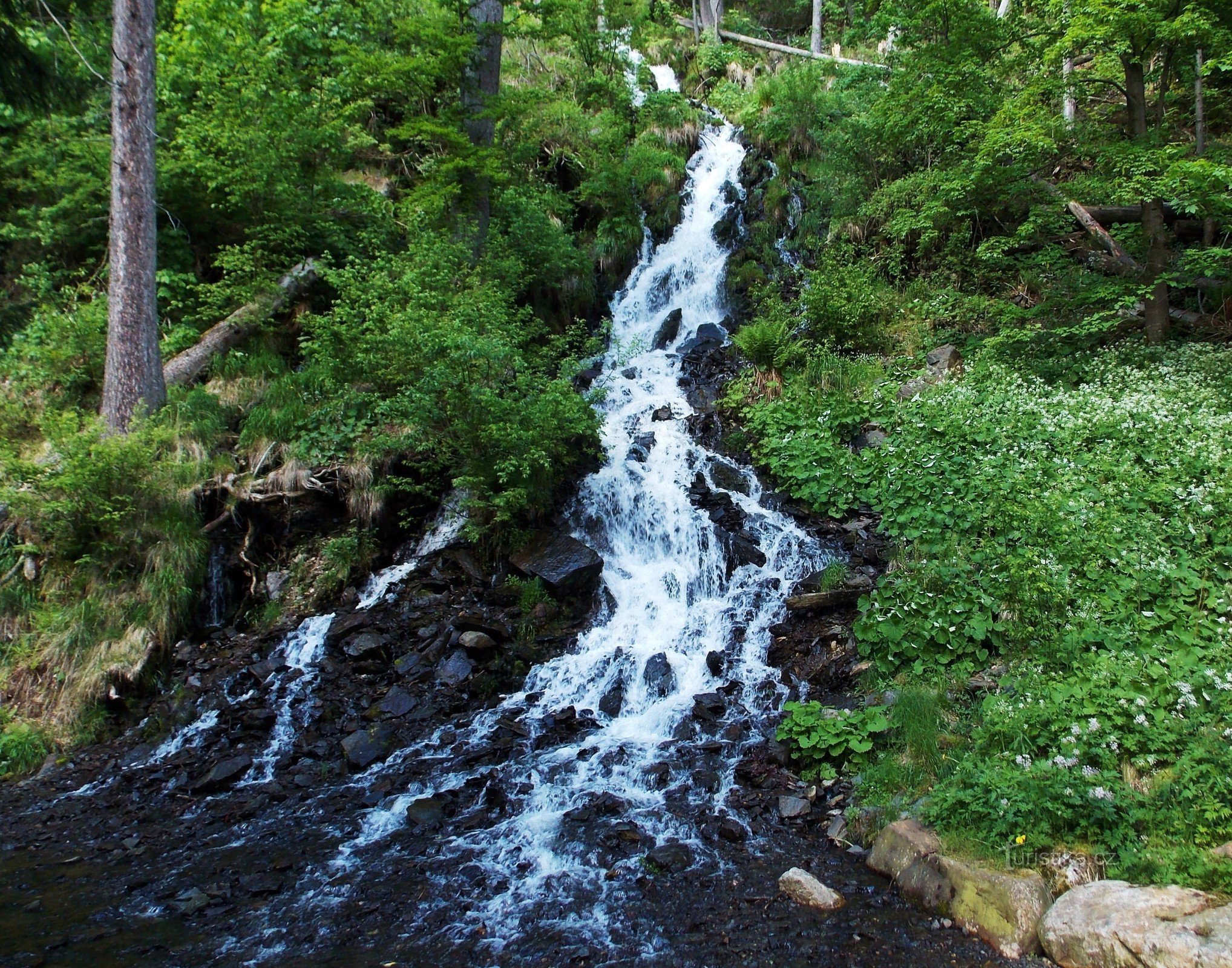 Attraktion i Karlov Studánka - konstgjorda vattenfall