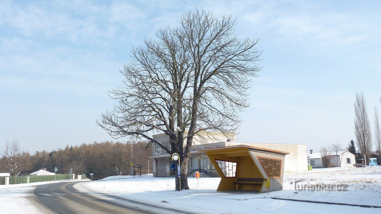 bus stop in front of OU