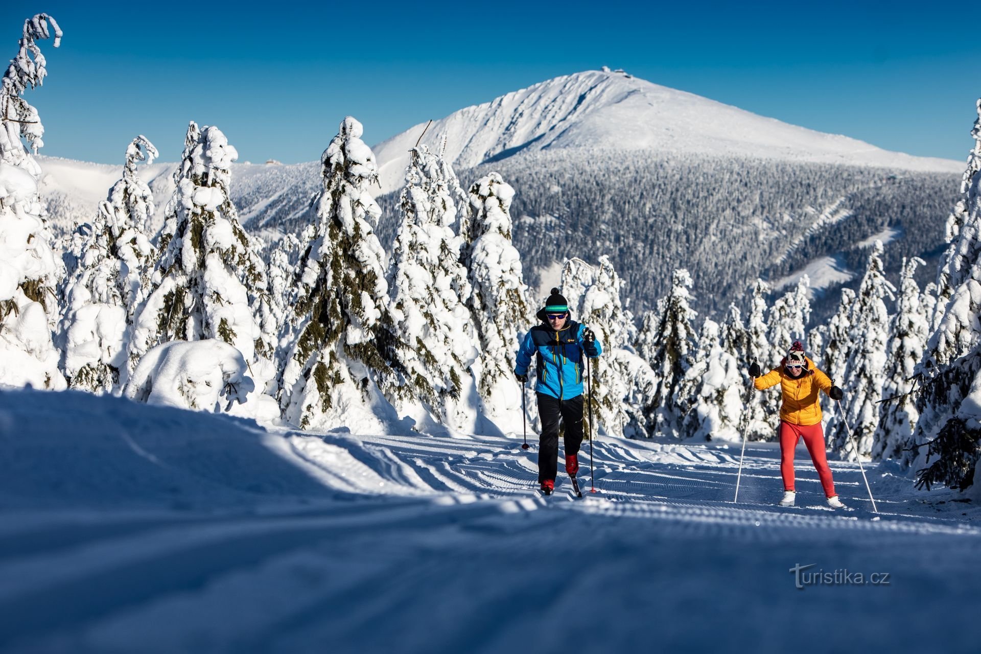 Tác giả: SkiResort