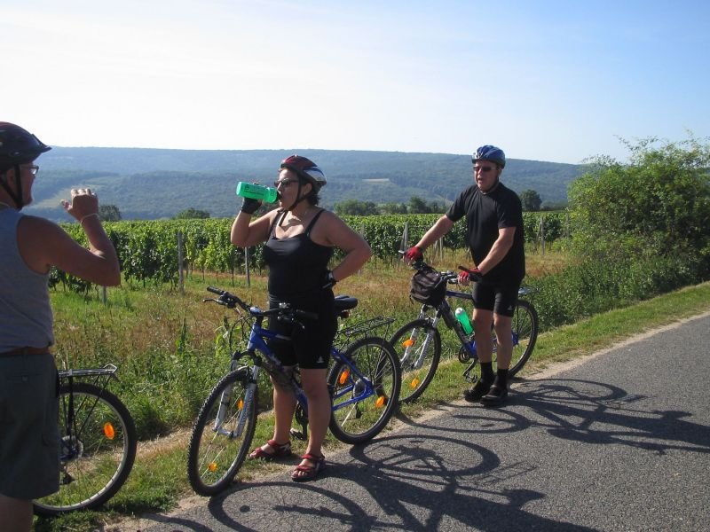 Ave Bicycle Tours - Day Tours