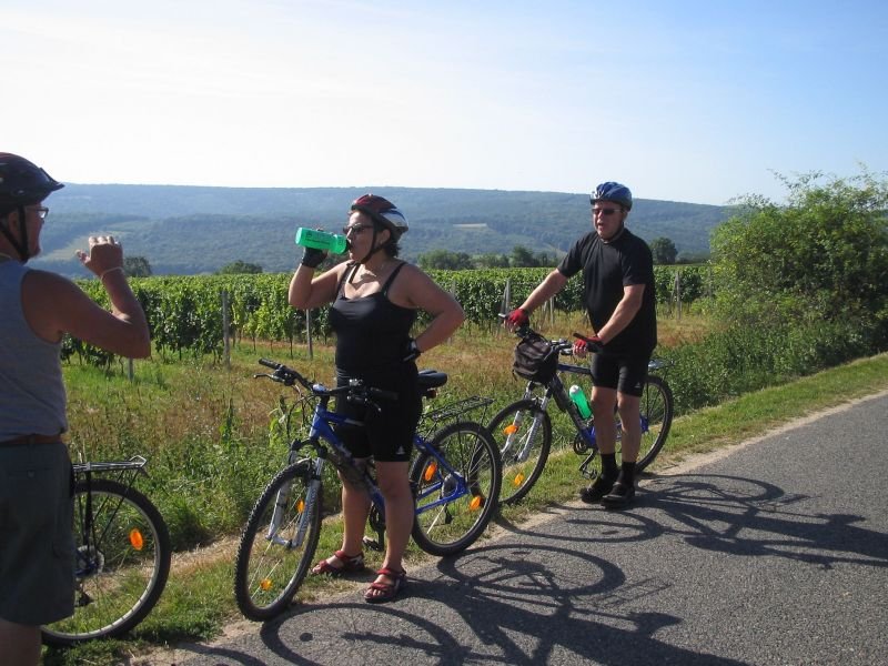 Ave Fahrradtouren - Tagestouren