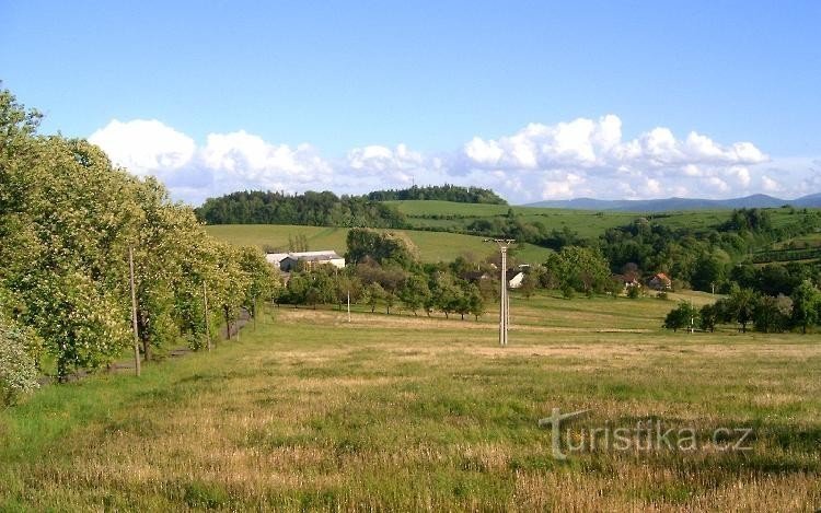 Farmor Mountain: Farmor Mountain. Karvinskas högsta punkt (492 möh). Denna subtila feber