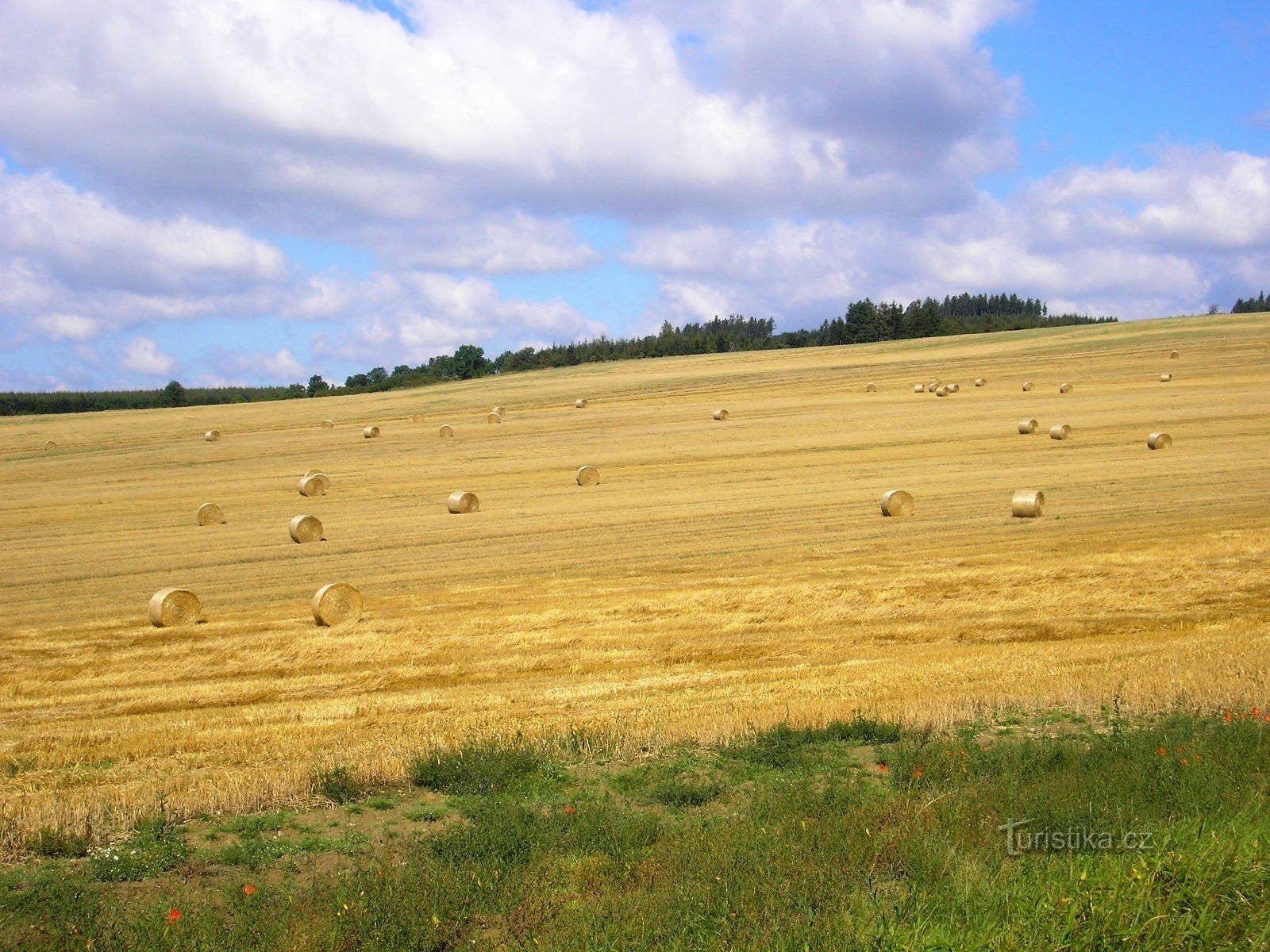 Indischer Sommer