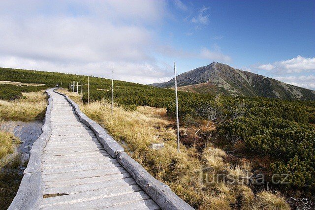 O verão da avó no sopé das montanhas Krkonoše na área de recreação Dolce perto de Trutnov