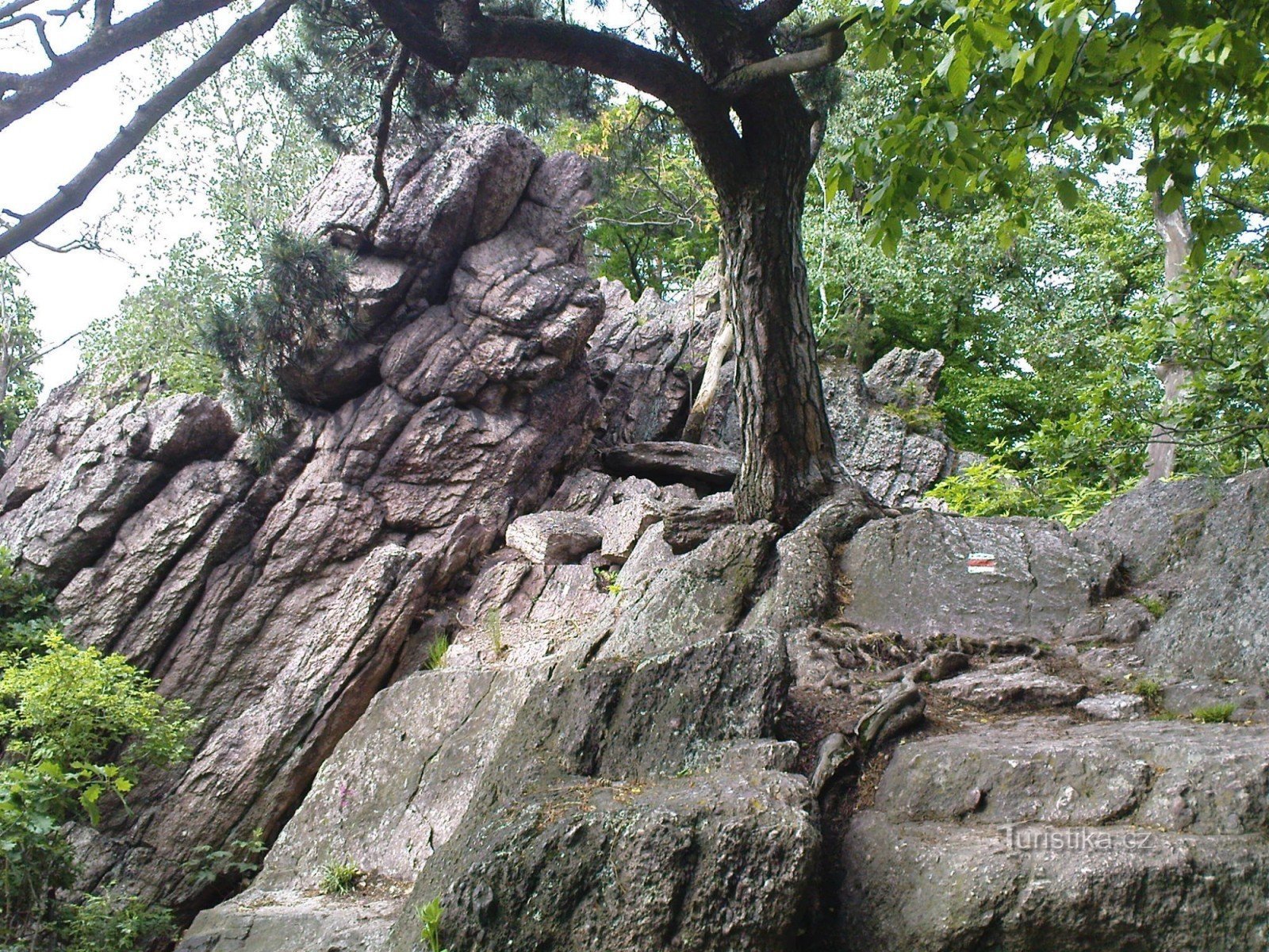 Carrière de grand-mère