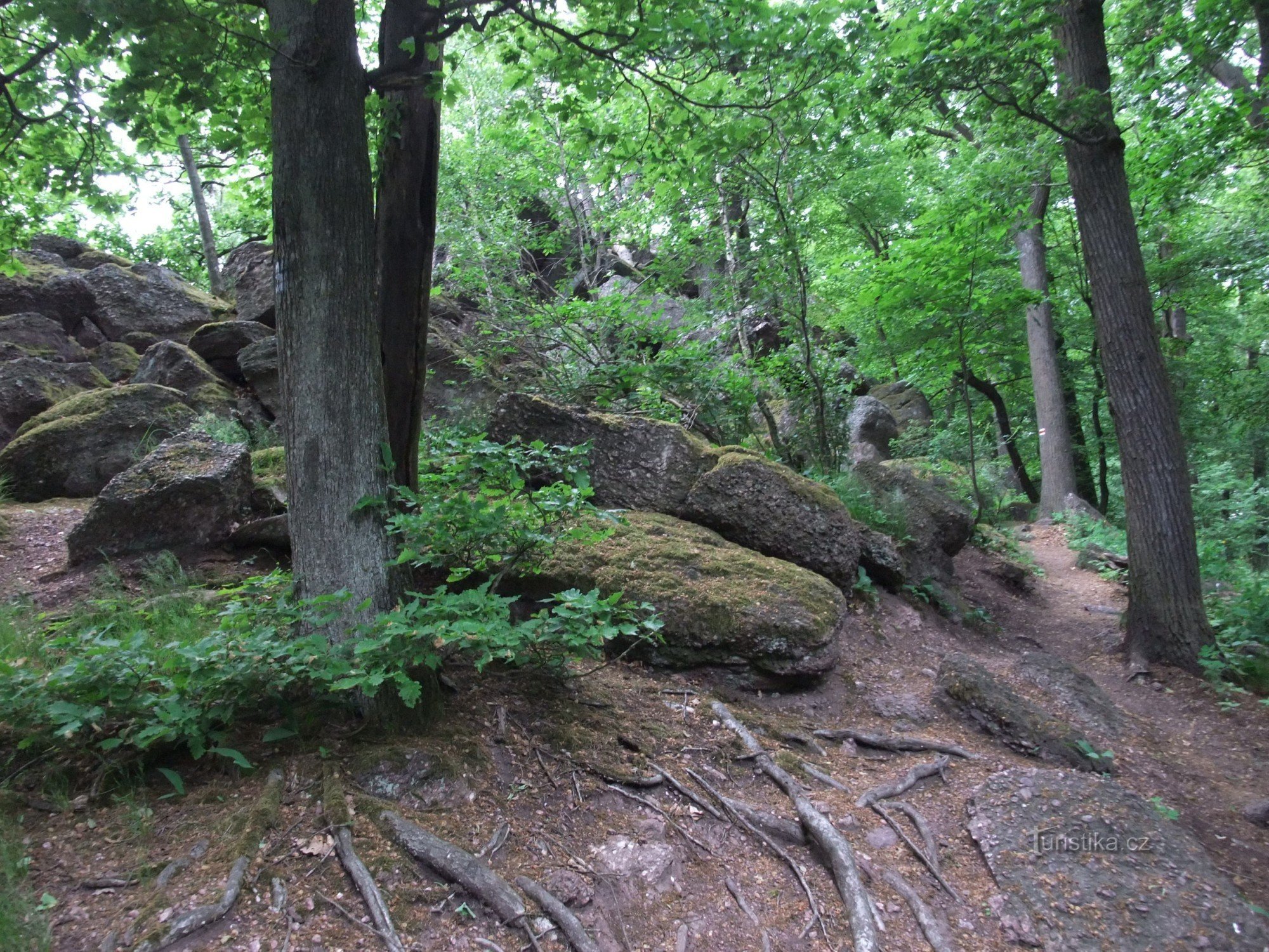 Großmutter Steinbruch