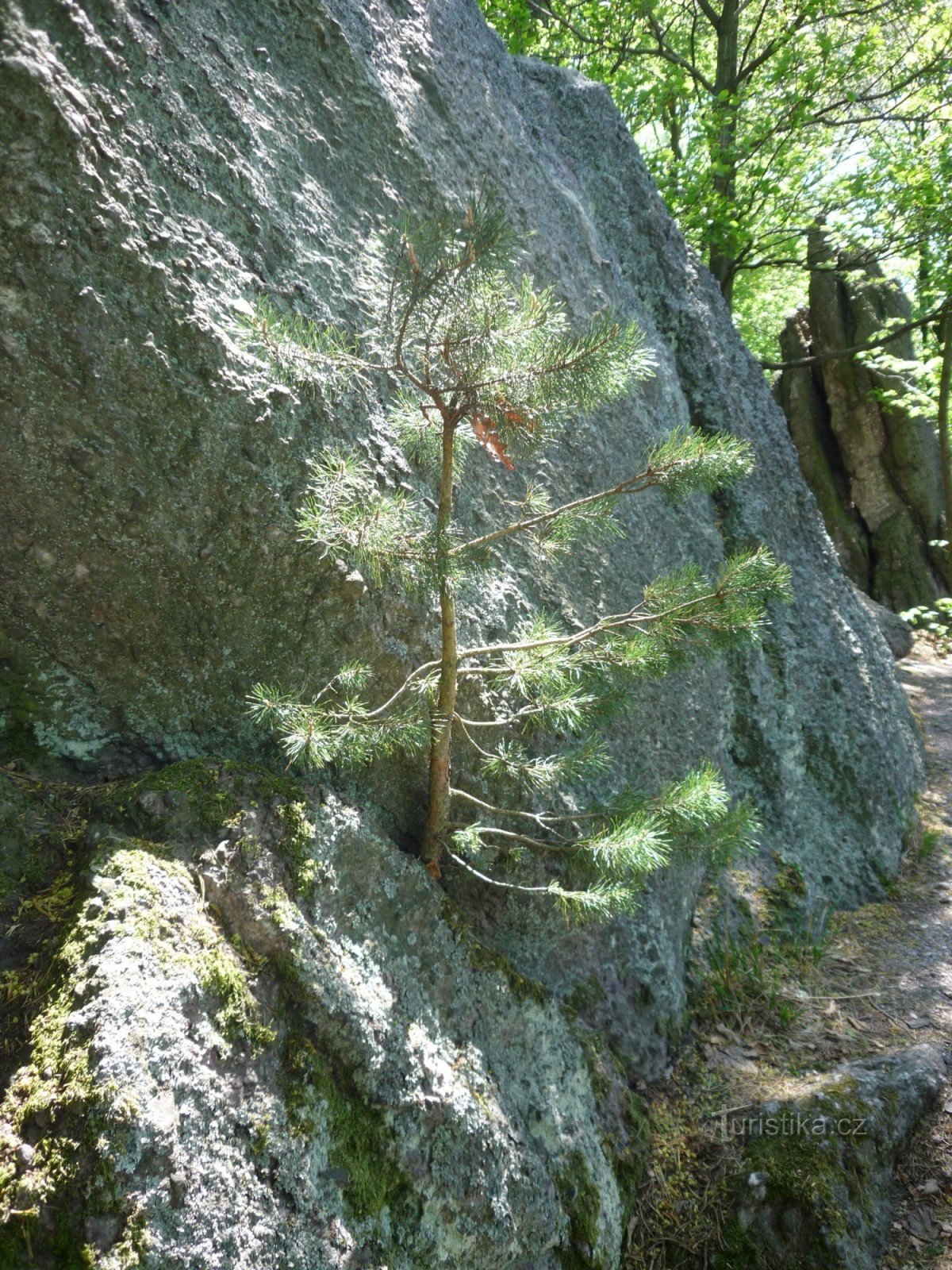 Carrière de Babi (562m.snm)