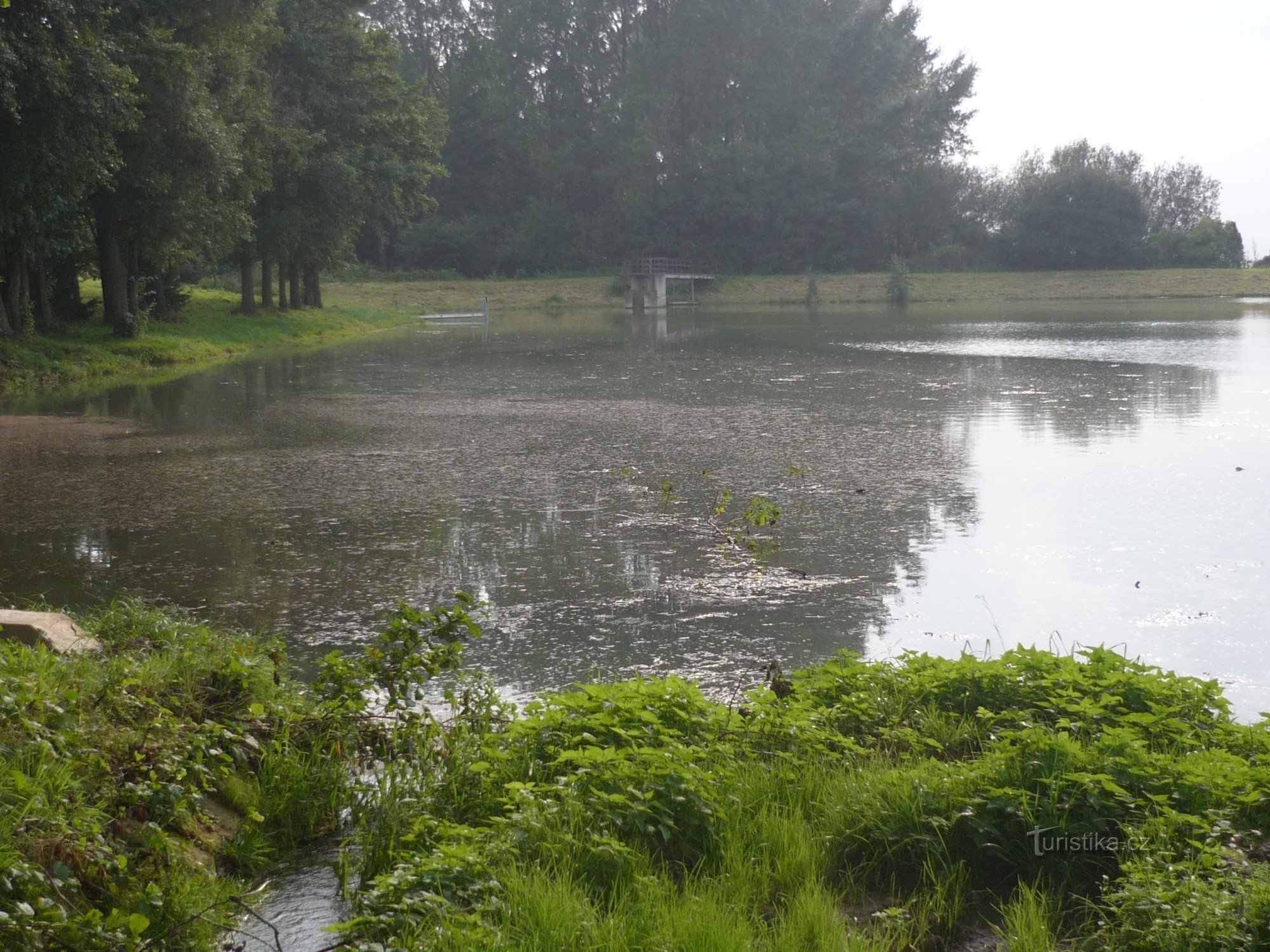 Grandmother's ponds