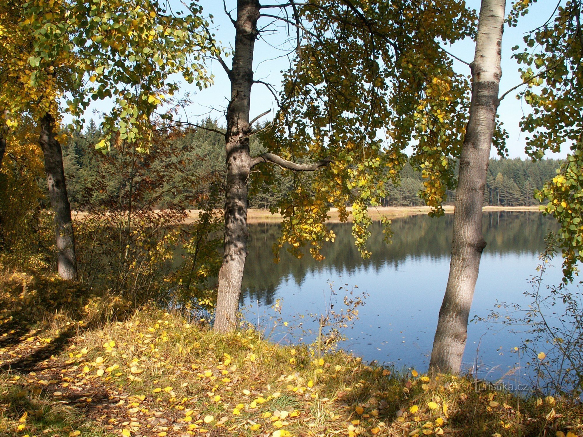 Пожилая женщина