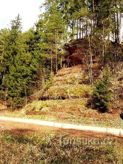 Babizna: On the cadastre of the village of Písečná, near the sewage treatment plant, sensitively planted