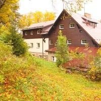 Сертификат Babyfriendly - GOOD COTTAGE