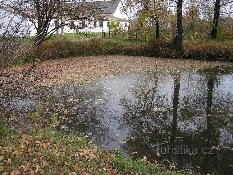 Schlamm: Schlamm - städtischer Teich