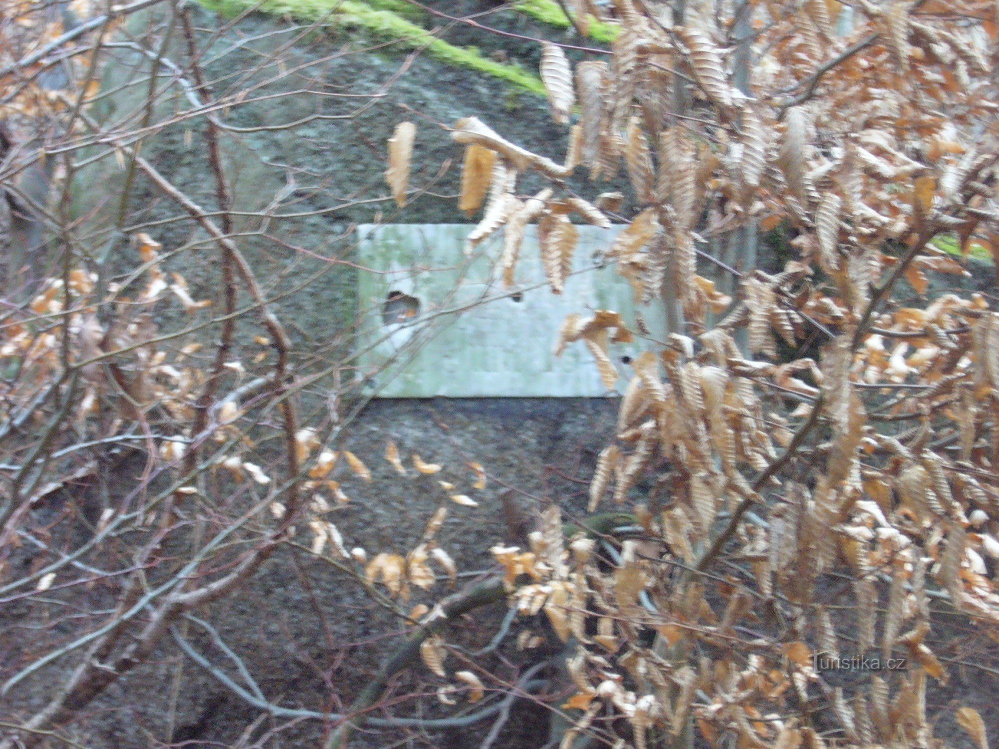 Ein Felsbrocken mit einer Gedenkinschrift