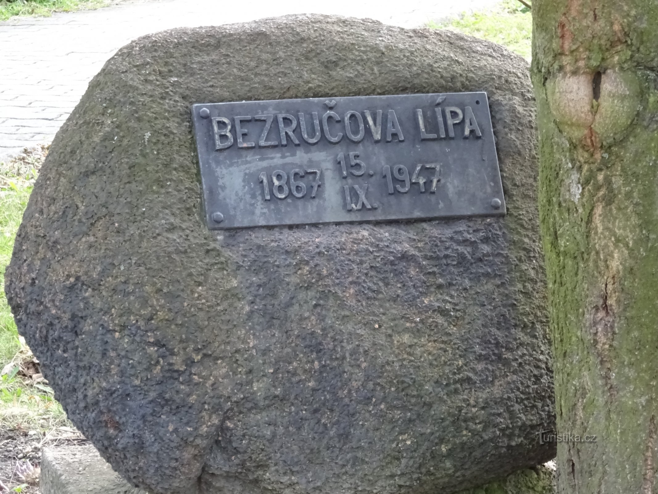 boulder near the memorial linden tree