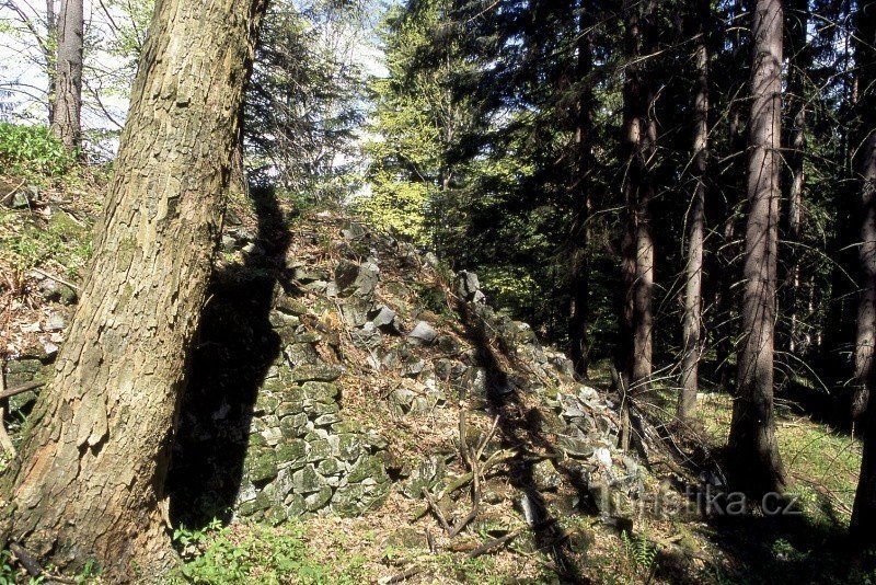 Кам'яні брили в лісі