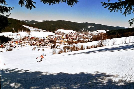 Piste di bambù