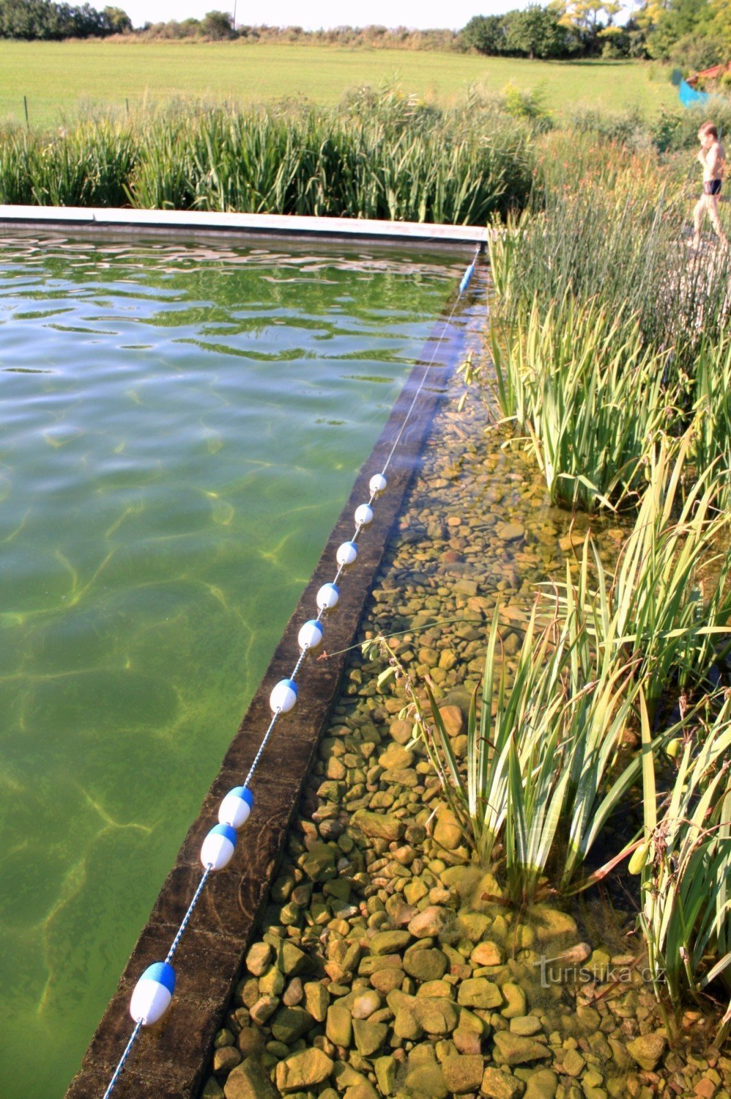 Bantice - piscina biológica