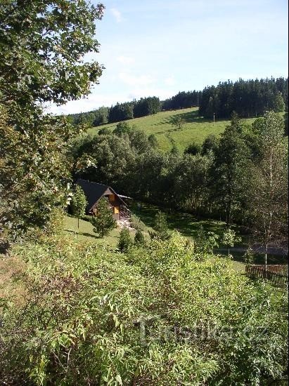 Bartošovice in Orl.h.