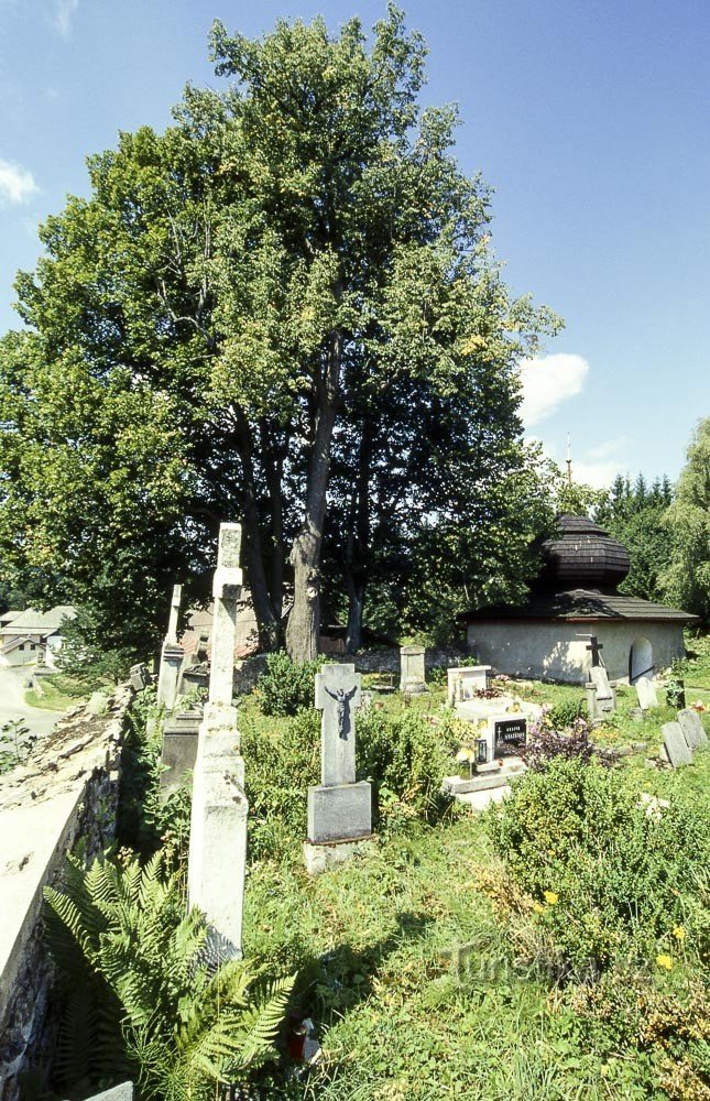 Bartošovice Orlické horyssa - Pyhän Nikolauksen kirkko. Maria Magdaleena
