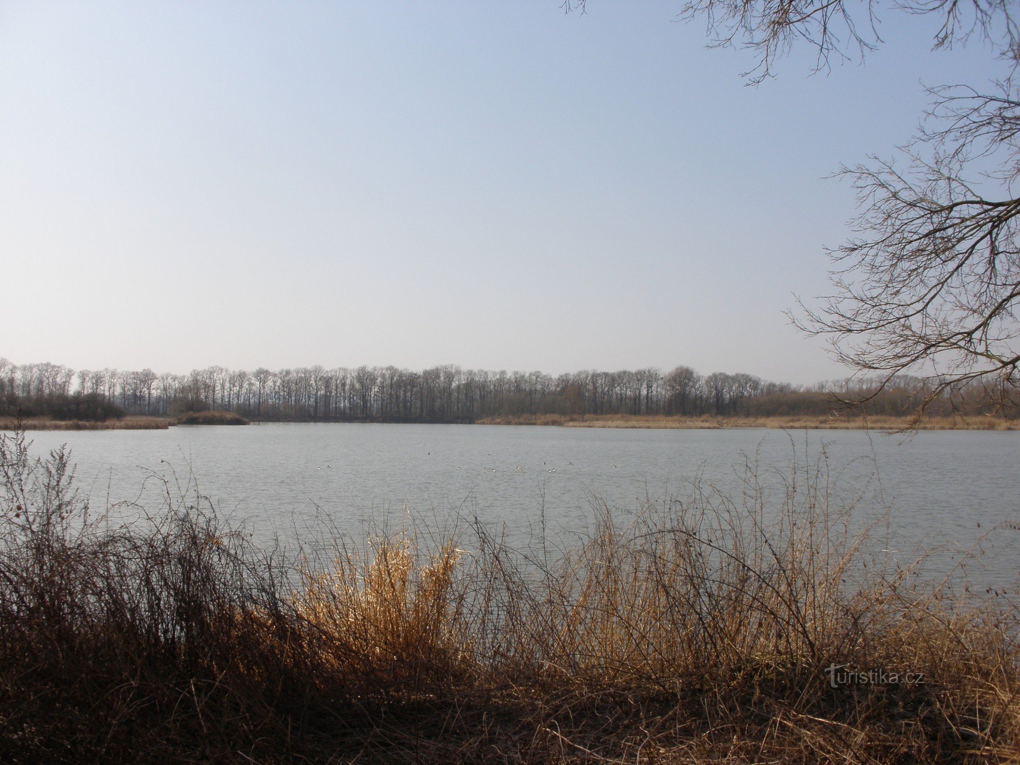バルトショヴィツェの池