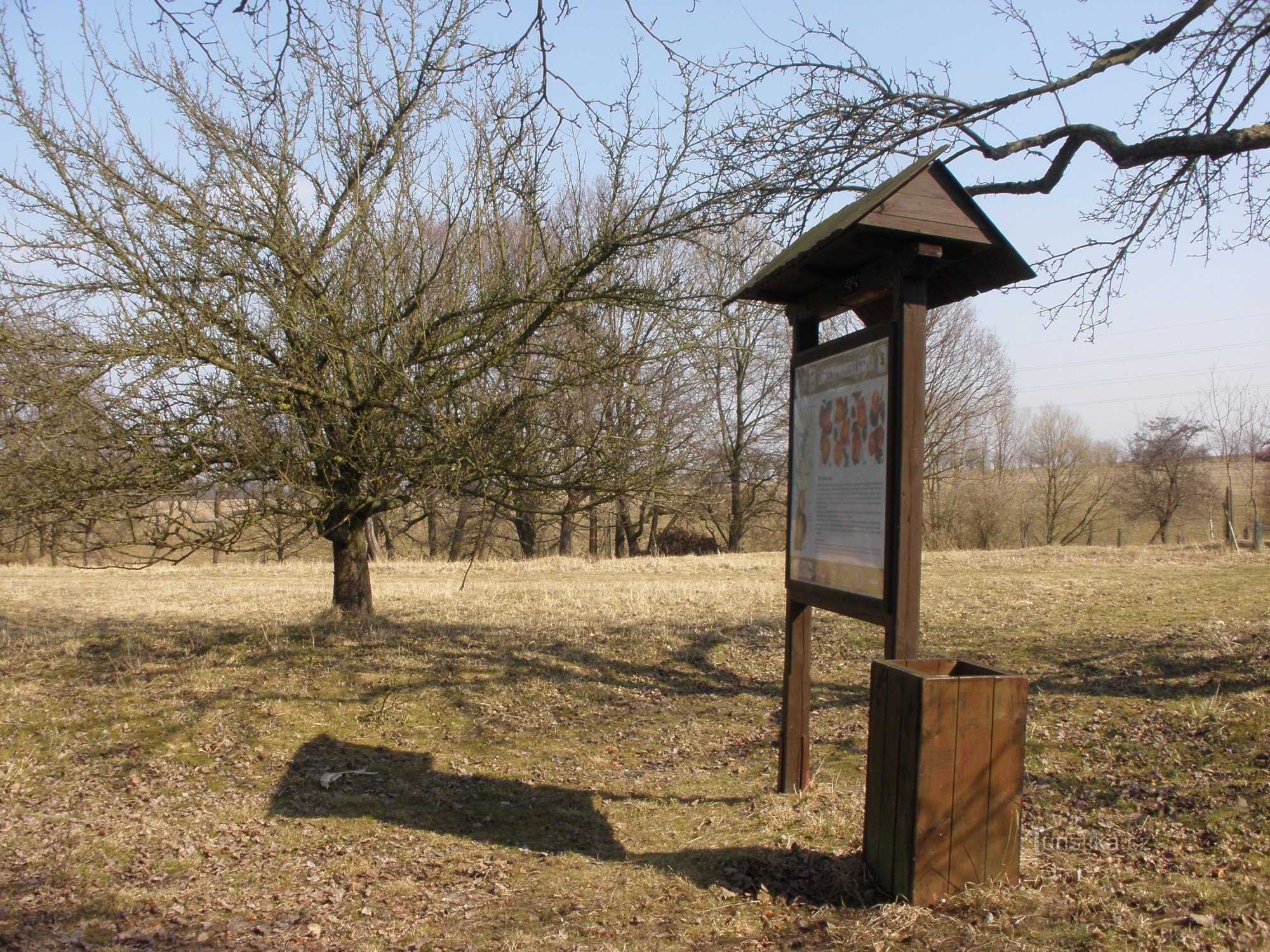 Bartošovice apple orchard