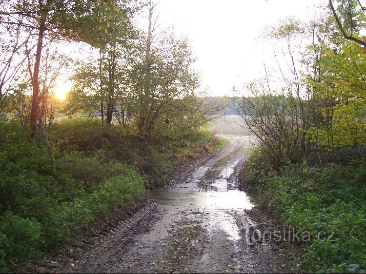 Bartošovice ström: Vy över strömmen