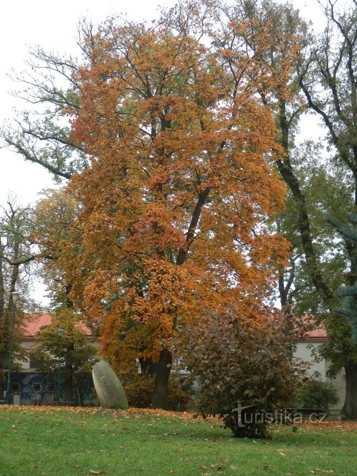 Kleuren van de herfst