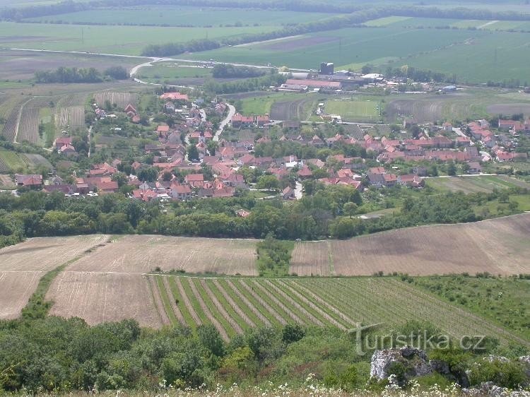 Bavarians from Table Mountain