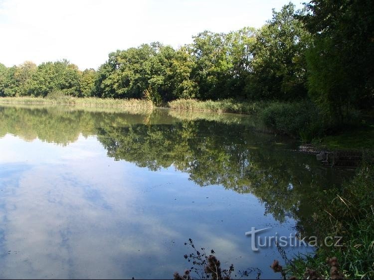 Pheasant pond