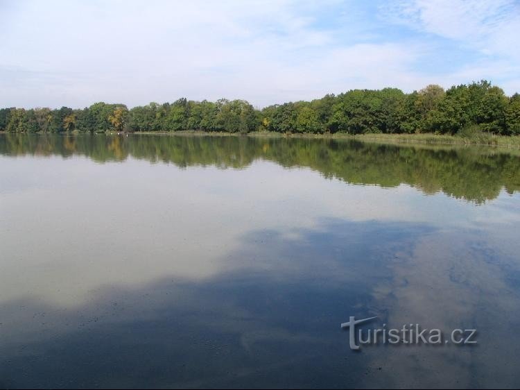 Pheasant pond