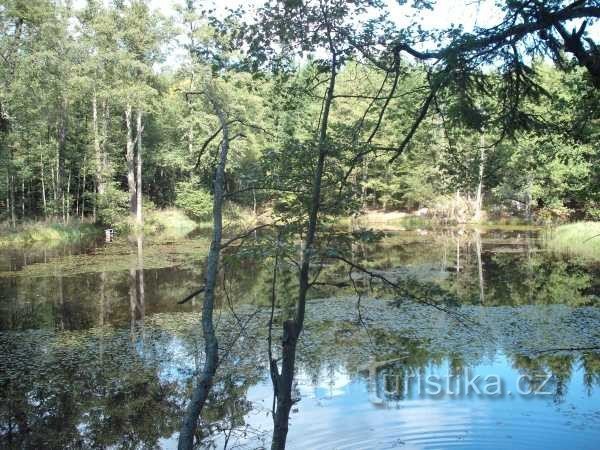 Bečov nad Teplou - Três lagoas