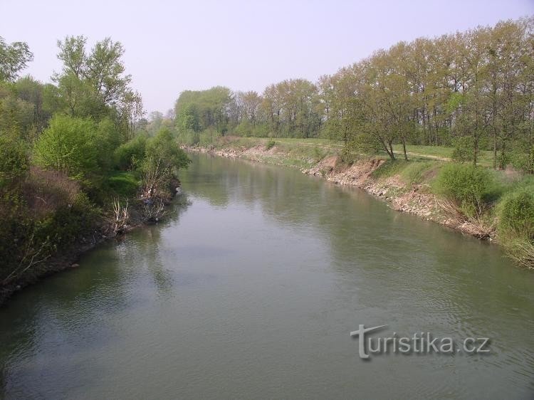 Bečva nizvodno od Osečkog mosta