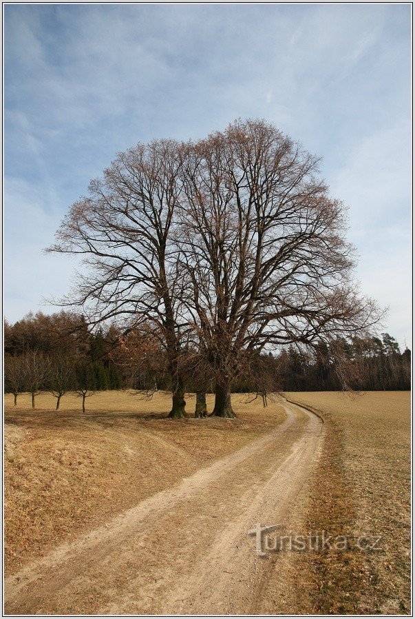 Croix de Bednar