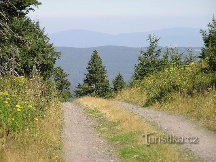 Carretera Bedřichovka desde V. Deštná