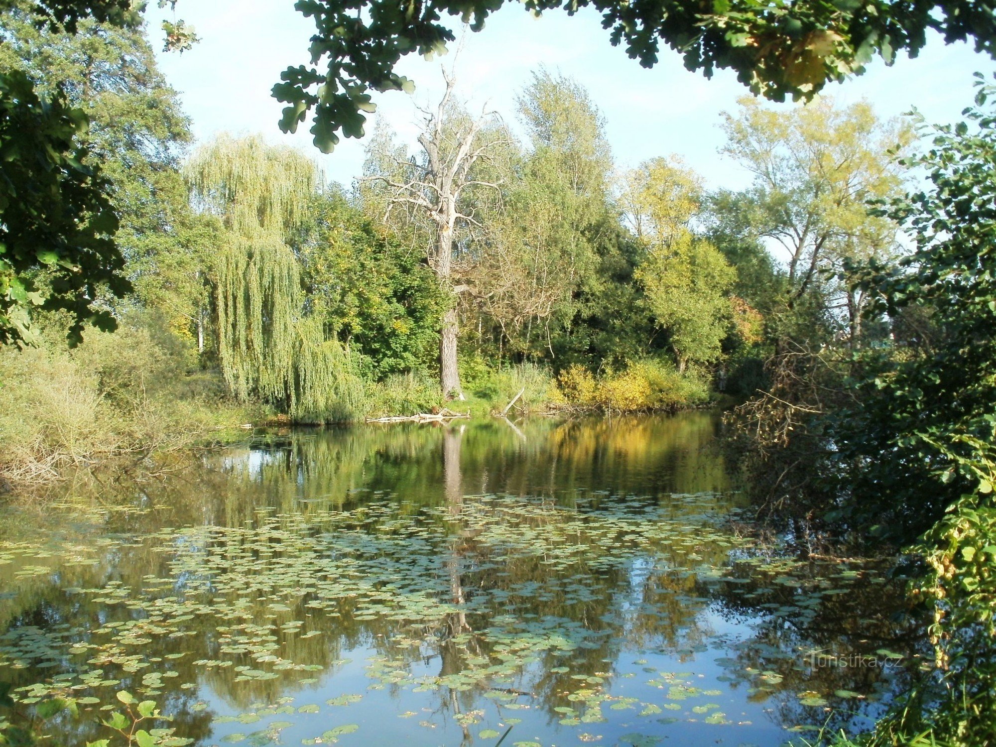 Хлібопекарський цех