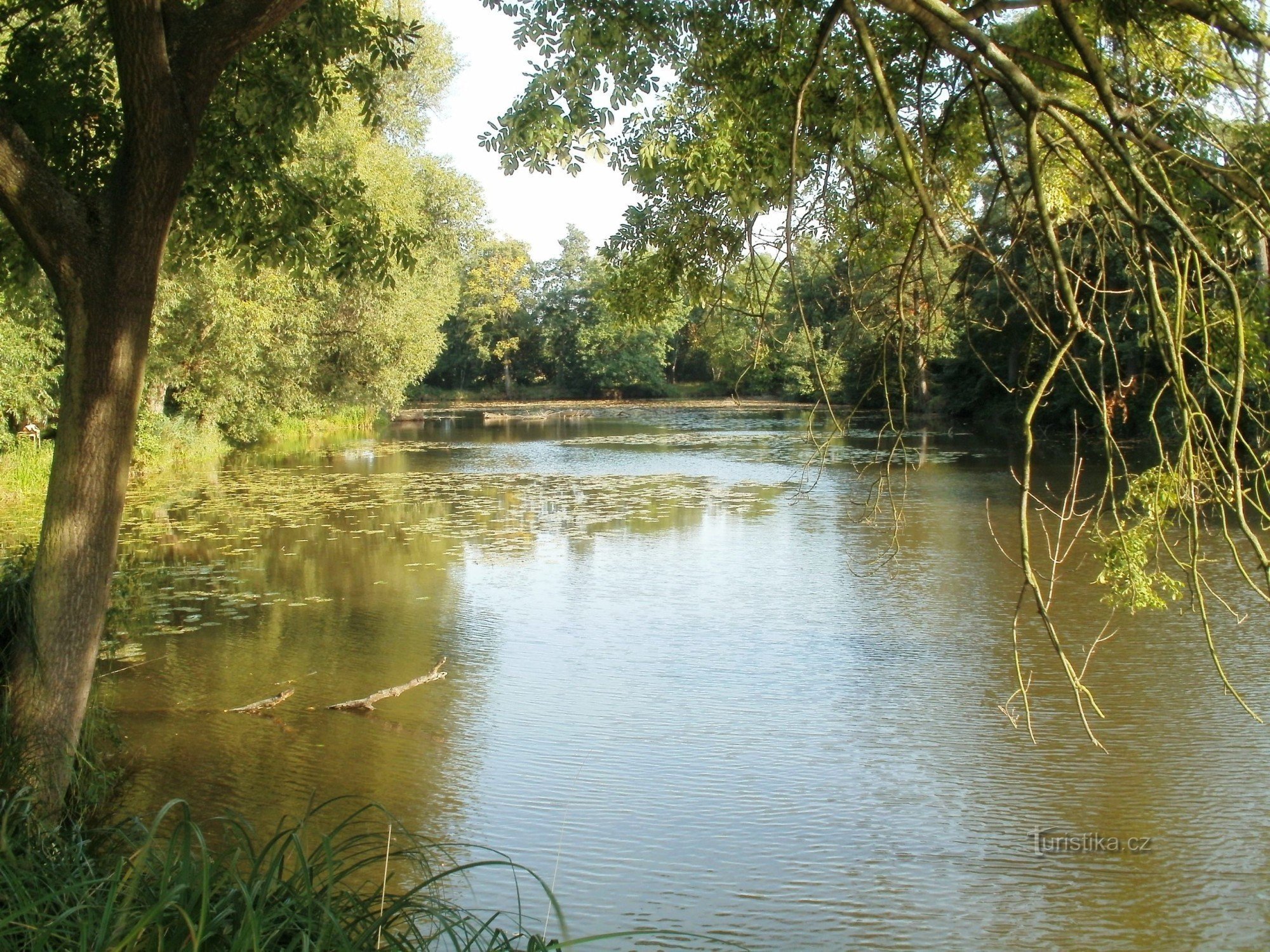 Tiệm làm bánh